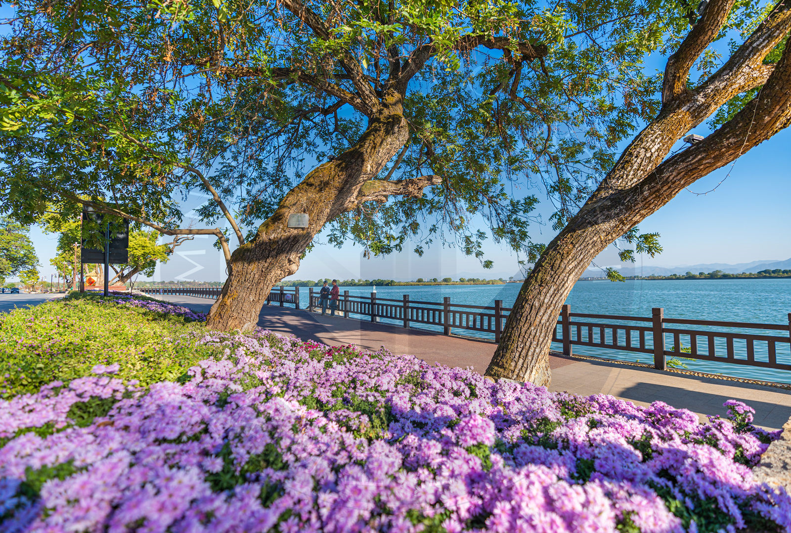 團石 (7)_副本.jpg